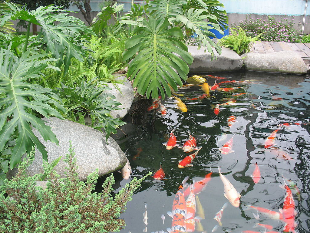 游泳池,做游泳池,游泳池設備,泳池設備,游泳池水處理,泳池水處理,桑拿房